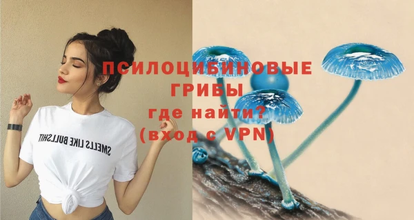 прущие грибы Алексин