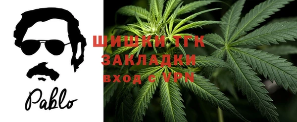 шишки Алзамай