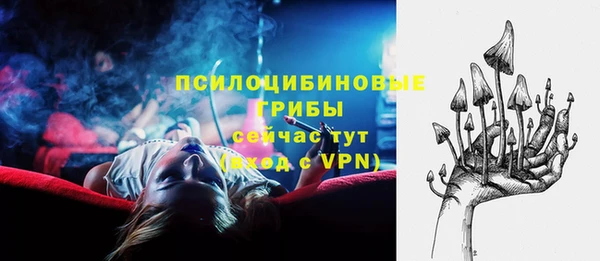 шишки Алзамай