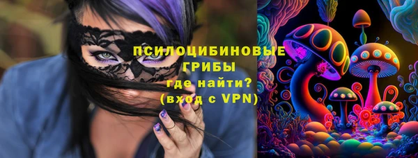 шишки Алзамай