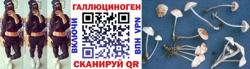 Псилоцибиновые грибы мицелий  Змеиногорск 